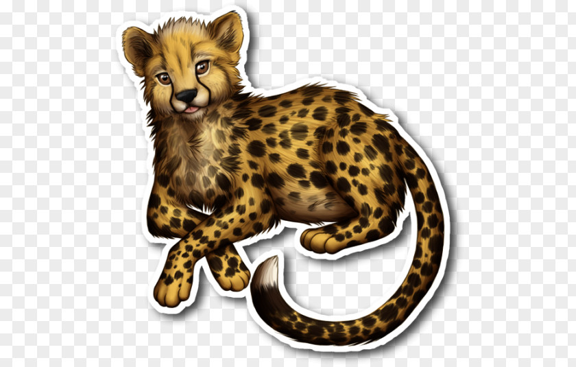 Cheetah Leopard Cat Drawing PNG