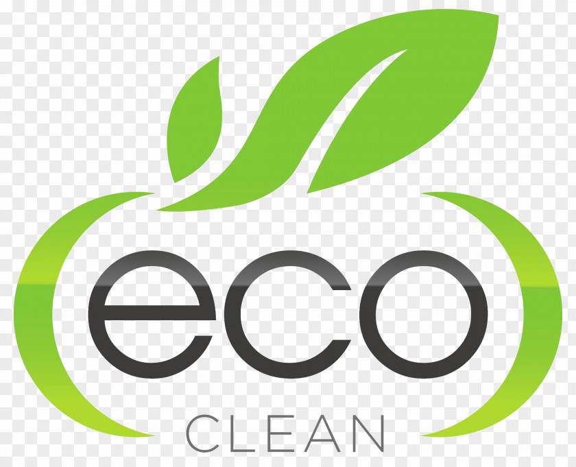 Eco Cleaning Cleaner Domestic Worker Turf Artificial Grass Business PNG