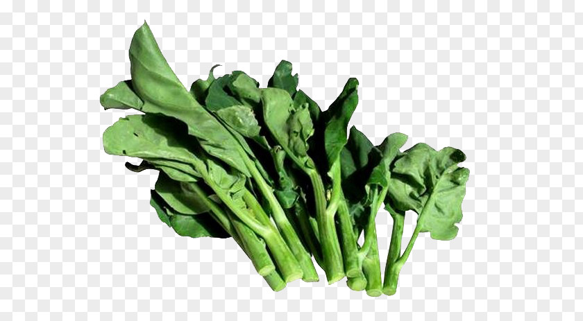 Green Kale Leaves Chinese Broccoli Vegetable Kohlrabi Cauliflower Hot Pot PNG