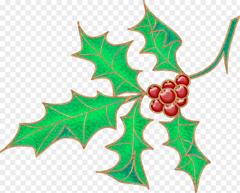 Holly Aquifoliales Christmas Ornament Clip Art PNG