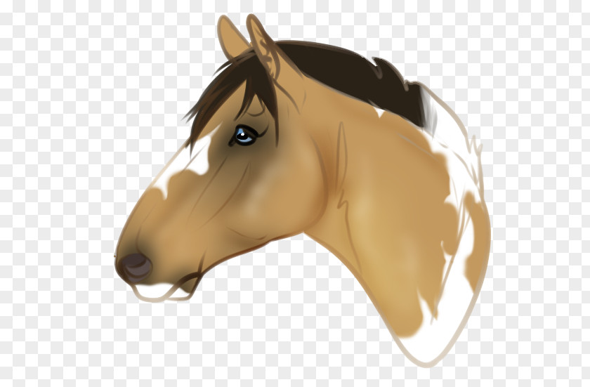 Mustang Mane Pony Halter Stallion PNG