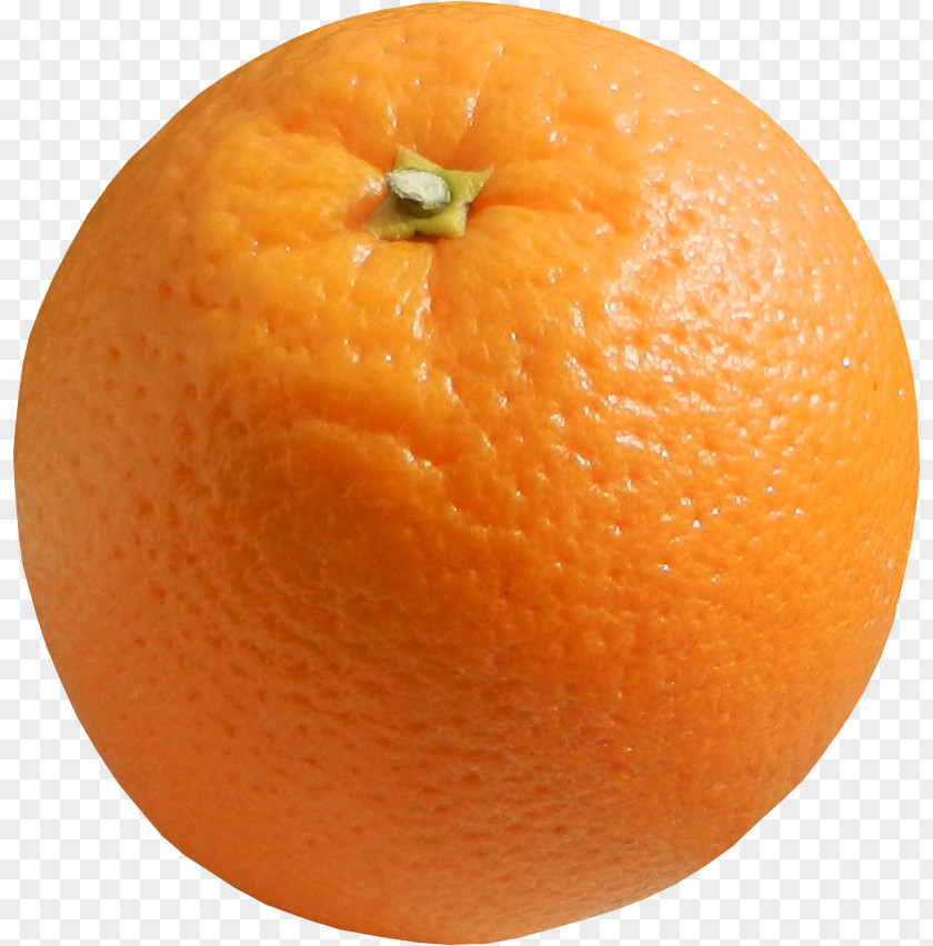Orange Blood Clementine Tangelo Juice Tangerine PNG