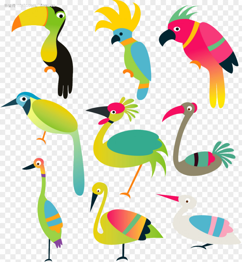 Ostrich Bird Parrot Budgerigar Illustration PNG