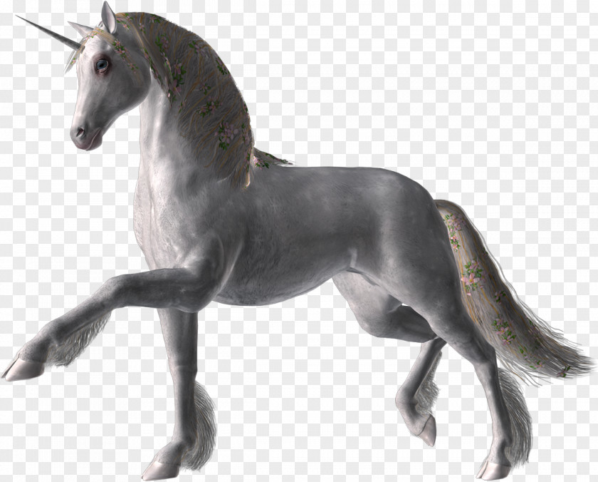 Pale Horses Mustang Stallion LiveInternet 3D Computer Graphics PNG