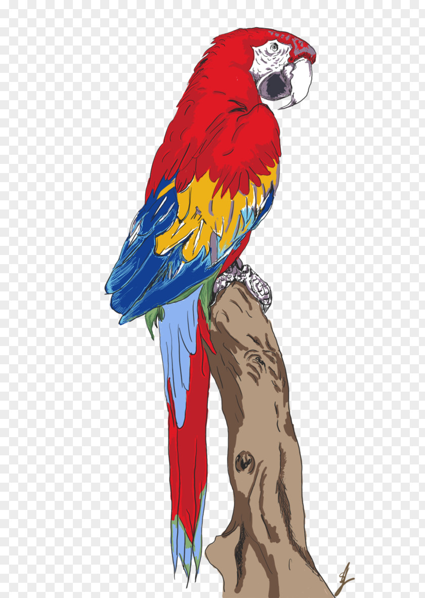 Parrot Macaw Beak Feather PNG