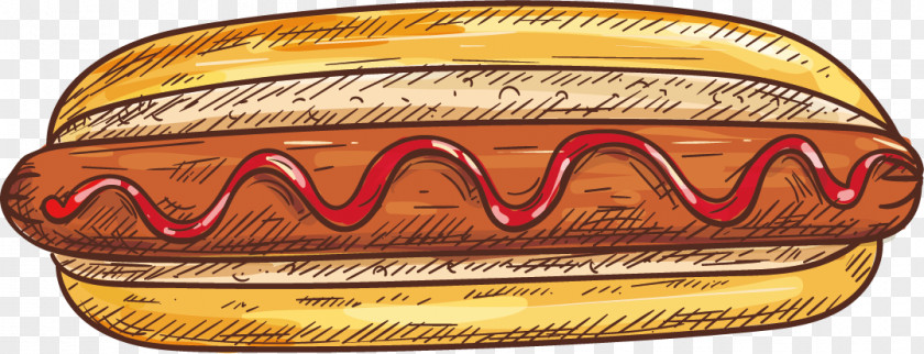 Vector Hot Dog Fast Food Bxe1nh Mxec Bread PNG