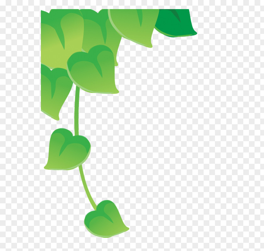Leaves Drawing Illustration PNG