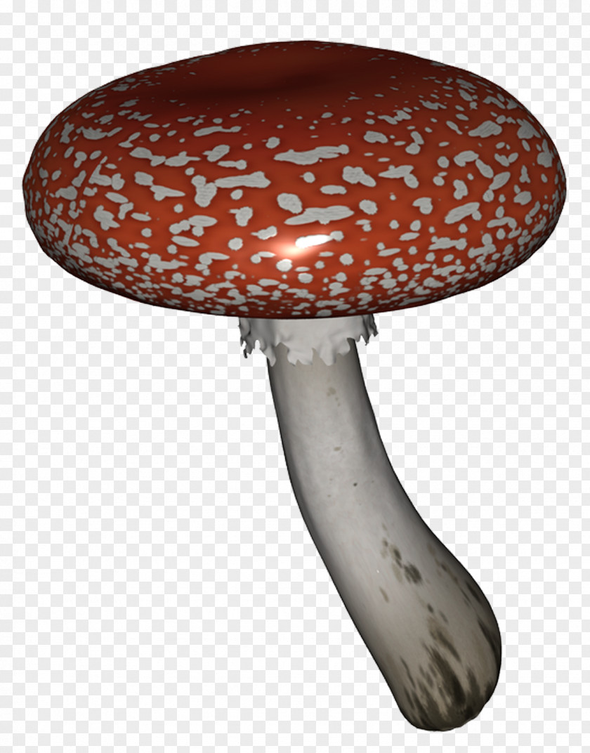 Mushroom Leaf Vegetable Vegetal Fungus PNG