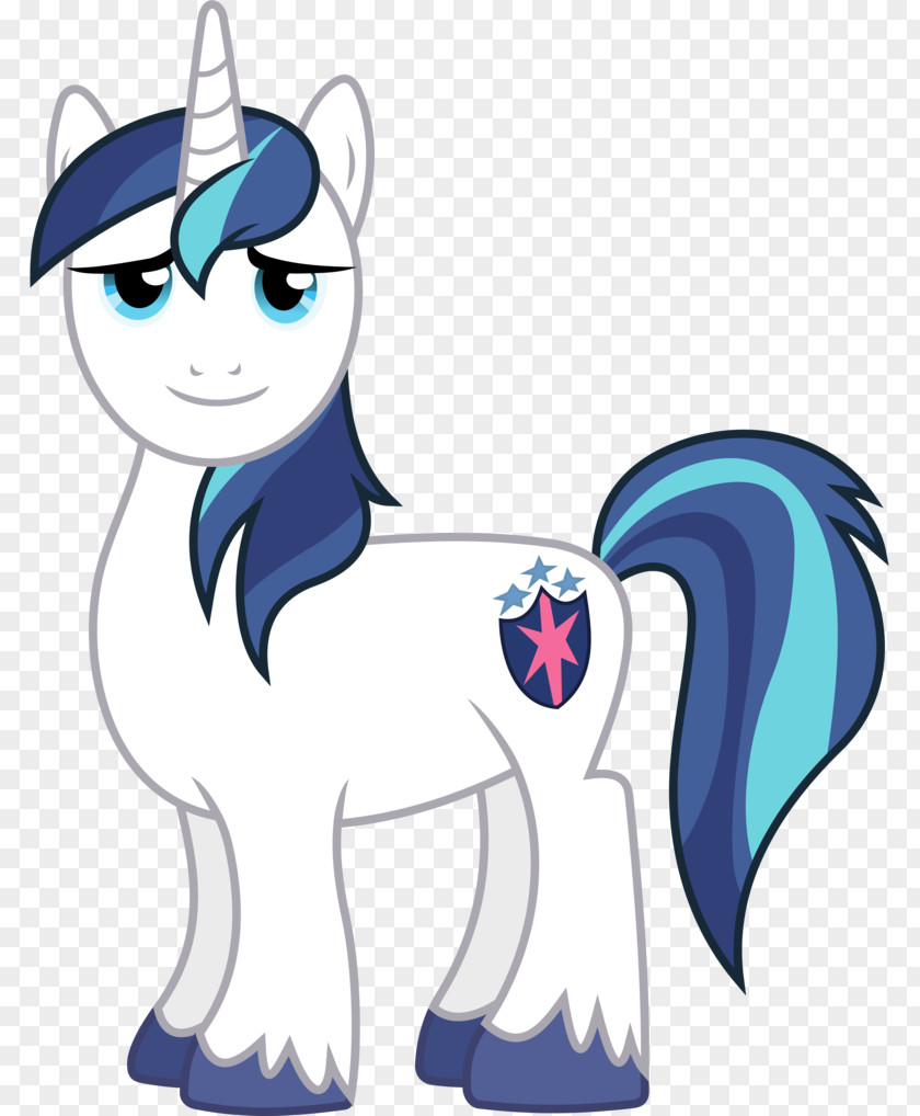 My Little Pony Shining Armor Twilight Sparkle Princess Cadance Rainbow Dash PNG