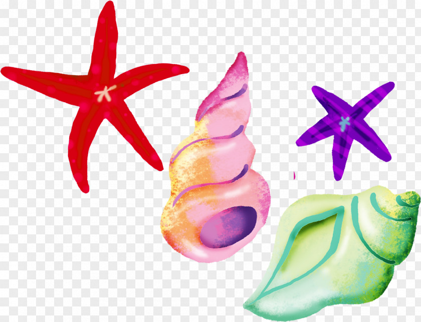 Starfish Seafood Graphic Design Clip Art PNG