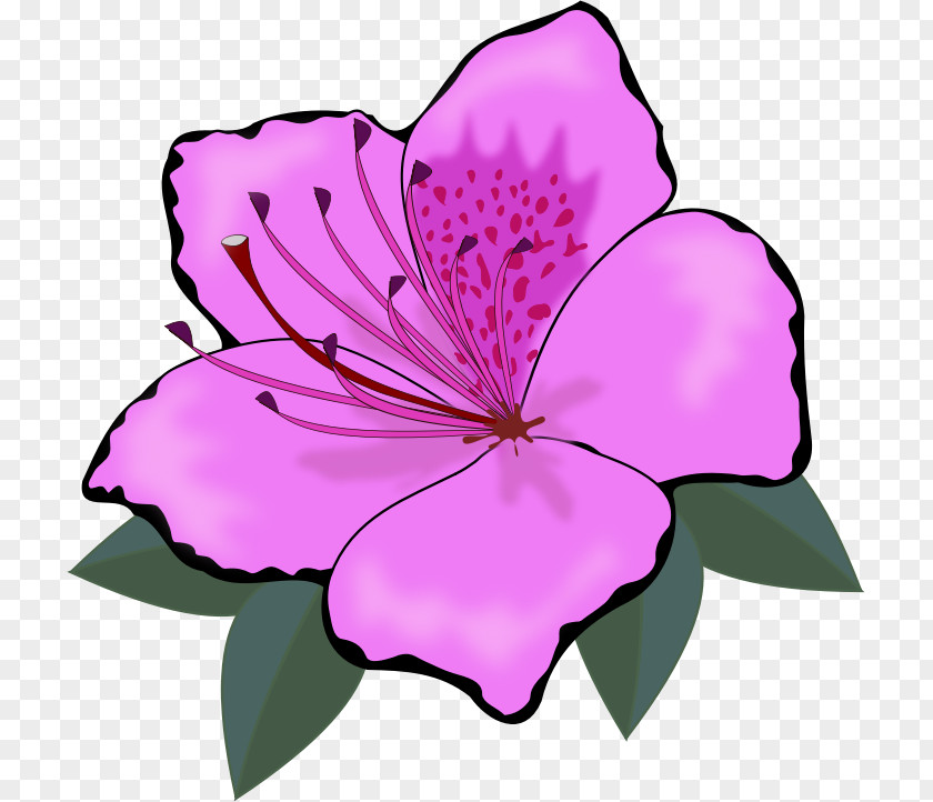 Amaryllis Flower Cliparts Clip Art PNG