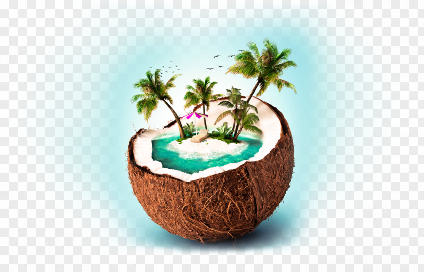 Coconut Package Tour Siargao Travel Agent Website PNG