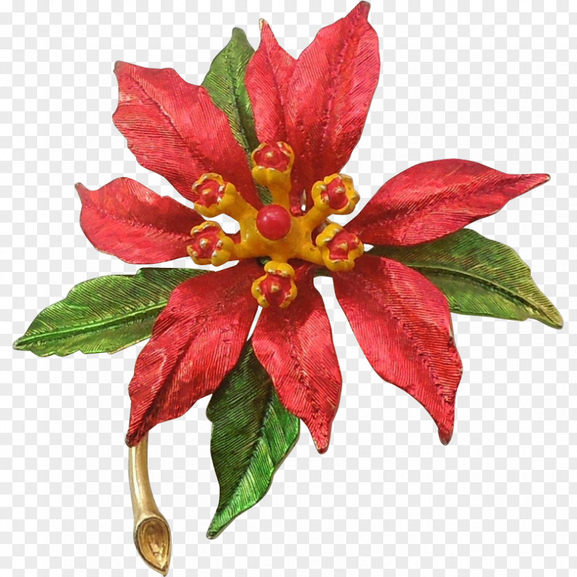 Flower Poinsettia Christmas Day Pin Brooch PNG