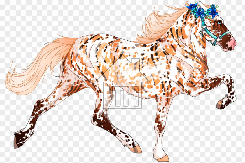 Mustang Mane Foal Stallion Mare Halter PNG