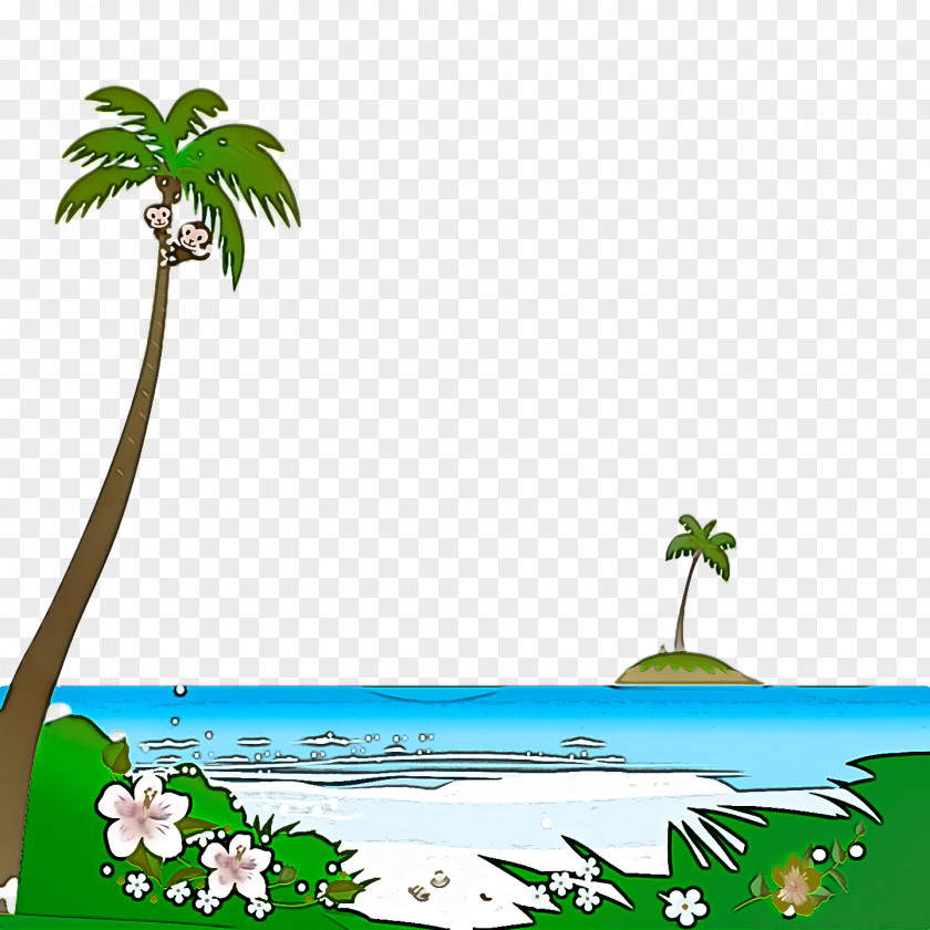 Palm Trees PNG