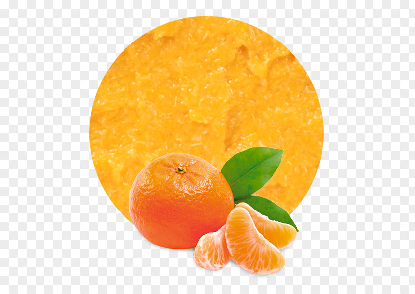 Pulp Marmalade Juice Mandarin Orange Tangerine Satsuma PNG