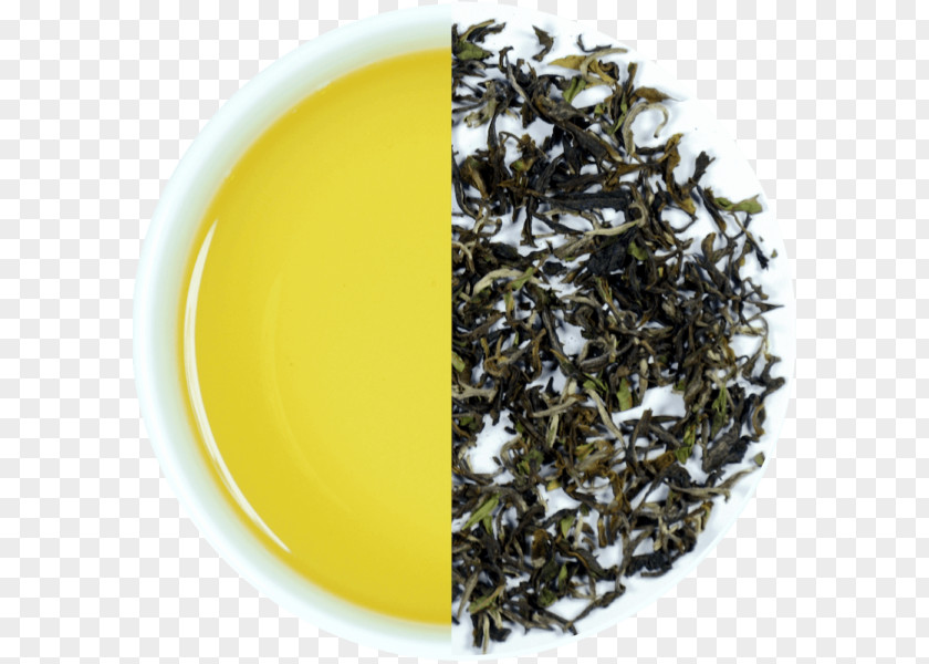 Tea Gyokuro Nilgiri Darjeeling White PNG