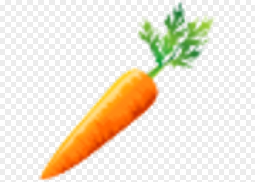 Carrots Baby Carrot Vegetable Clip Art PNG