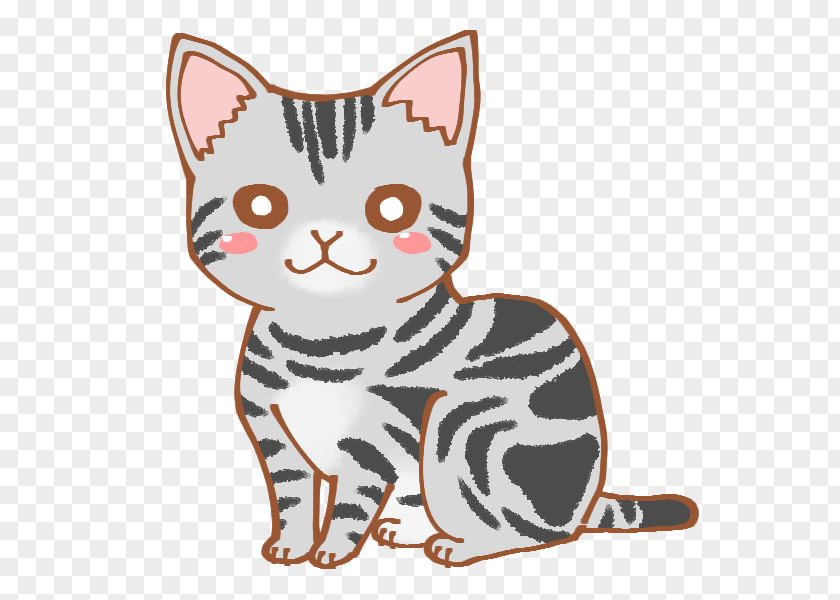 Japan Cat Persian フィッシャーズ National Day In Uuum PNG