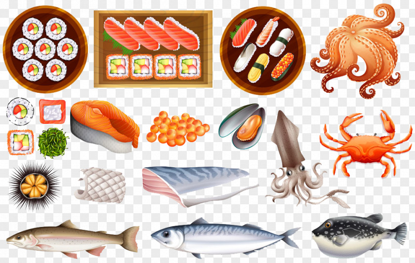 Japanese Food Illustration Cuisine Sushi Onigiri Squid As Seafood PNG