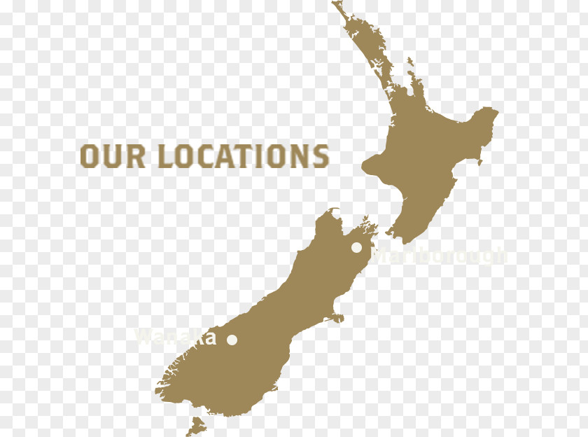 Map New Zealand Vector Graphics Royalty-free Illustration Image PNG