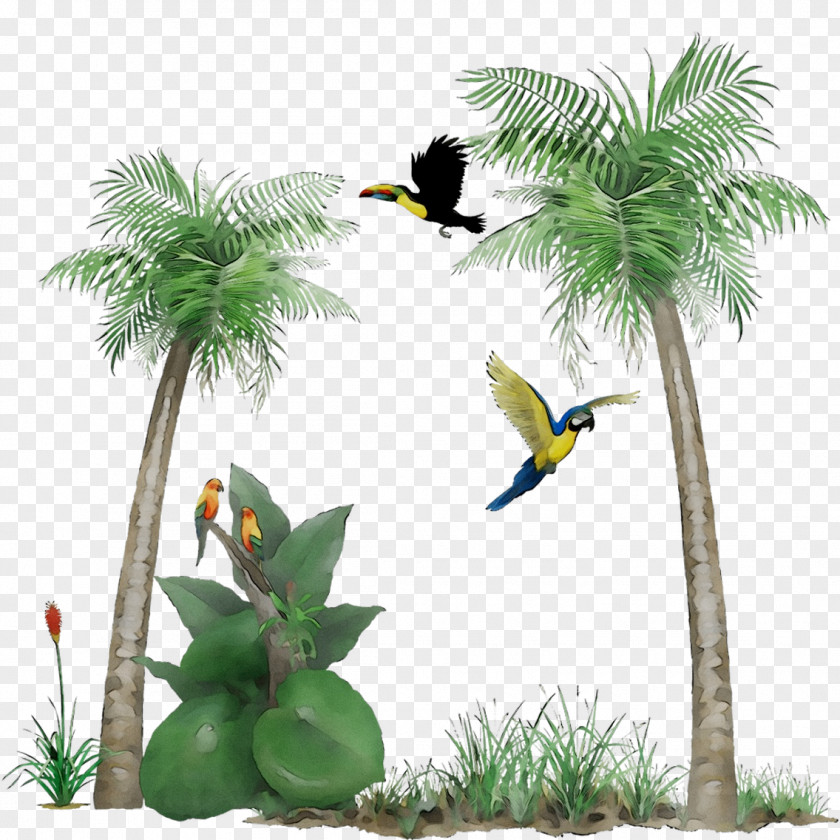 Mural Plants Wall Decal Palm Trees PNG