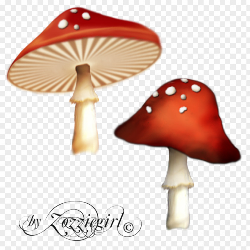 Poisonous Red Mushroom Psilocybin Clip Art PNG