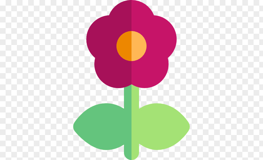 Poppy Flower PNG