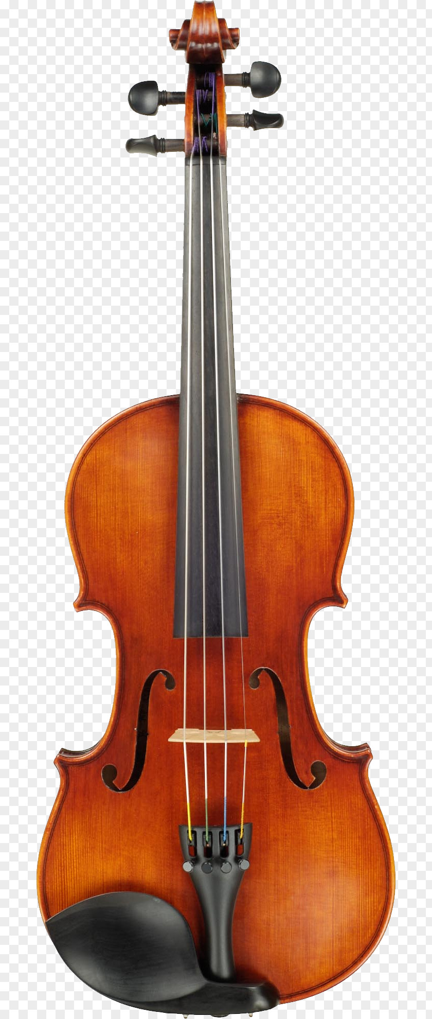 Violin Cremona Japan Lady Blunt Stradivarius PNG