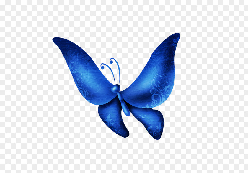 Butterfly Ash Ketchum Clip Art PNG