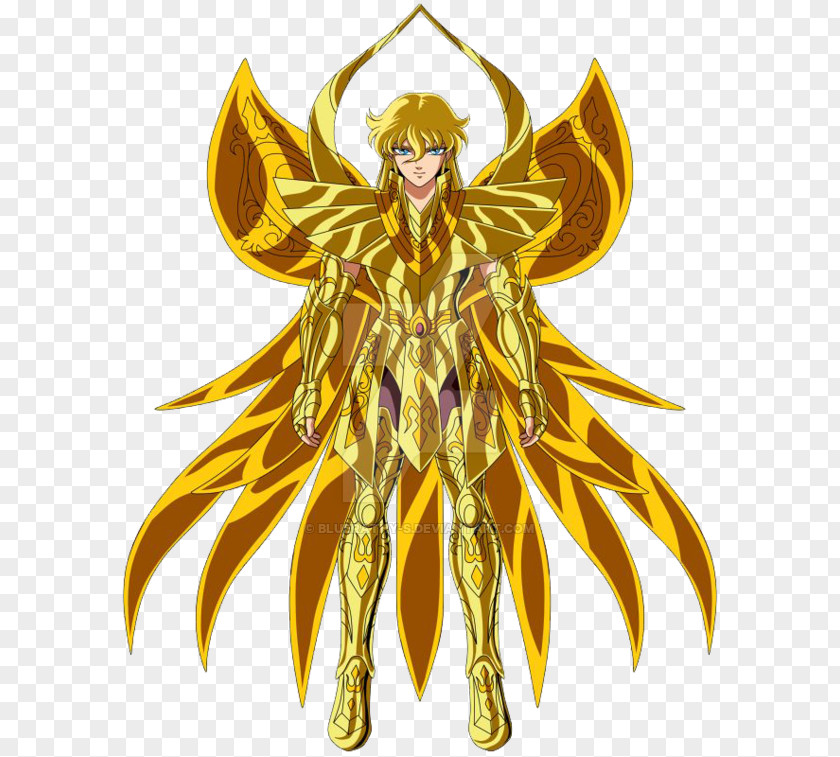 Cloth Size Shaka Pegasus Seiya Saint Seiya: Knights Of The Zodiac Virgo Asmita PNG