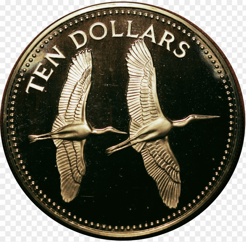 Coin Silver Gold PNG
