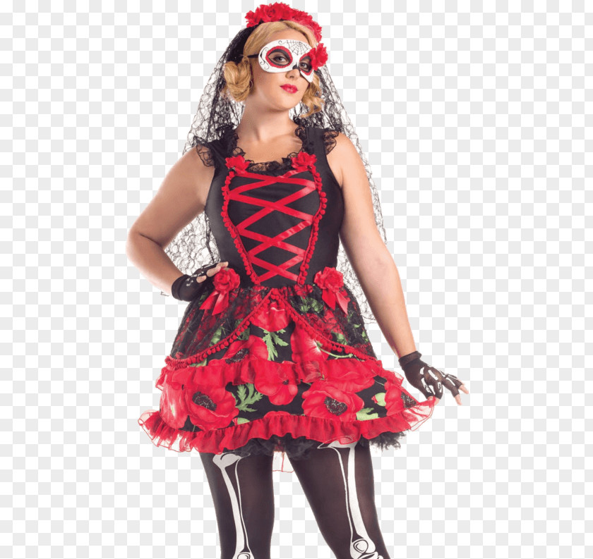 Day Of The Dead Costumes La Calavera Catrina Halloween Costume PNG