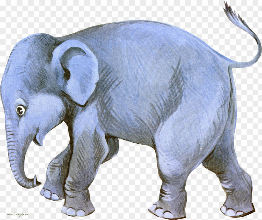 Elephant Indian African Dog Clip Art PNG