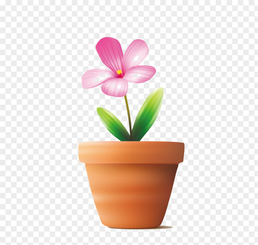 Flower Color White PNG