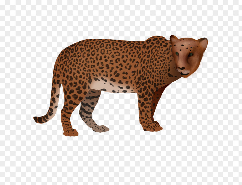 Leopard Cheetah PNG