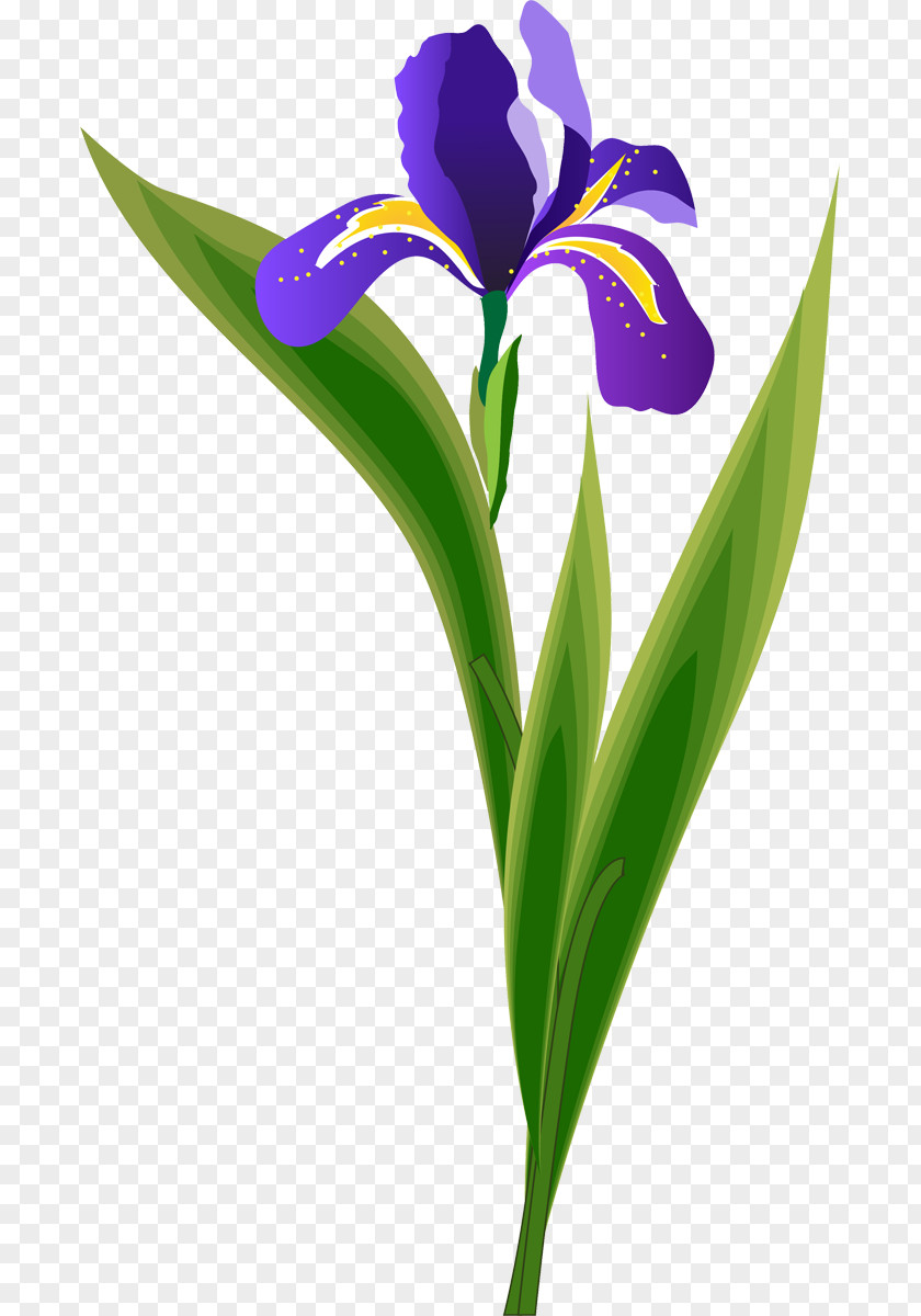 Purple Cut Flowers Plant Stem Petal PNG