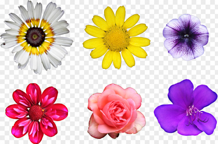 Real Flower Bouquet Clip Art PNG