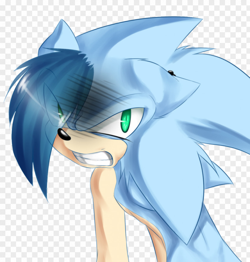Angry Hedgehog Sonic The Boom: Fire & Ice Shadow Cream PNG