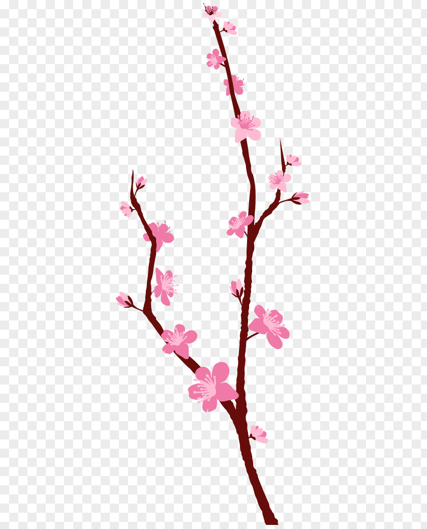 Blossoms Cherry Blossom Floral Design Plant Stem Twig PNG