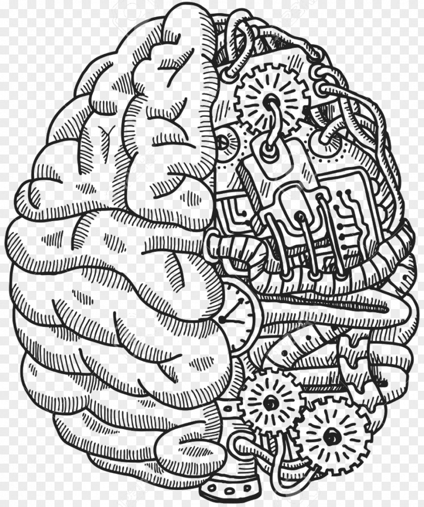 Brain Human Biomedical Engineering PNG