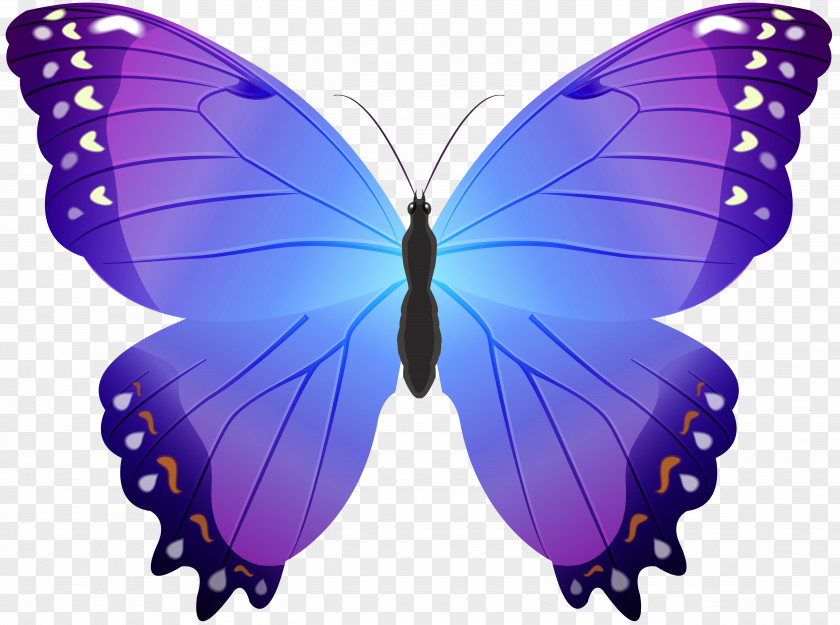 Butterfly Purple Transparent Clip Art PNG