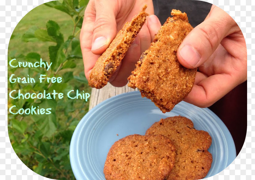Chocolate Chip Cookies Cookie Biscuits Recipe Vegetarian Cuisine PNG