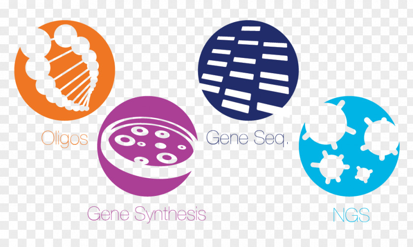 Back Infographic Eurofins Genomics Scientific Logo Skill PNG