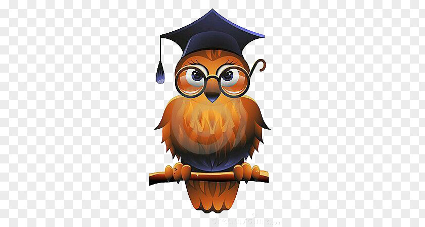 Cartoon Owl With Bachelor Cap PNG owl with bachelor cap clipart PNG