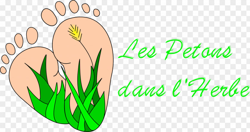 Dans L'herbe Grasses Clip Art Flower Plant Stem Logo PNG