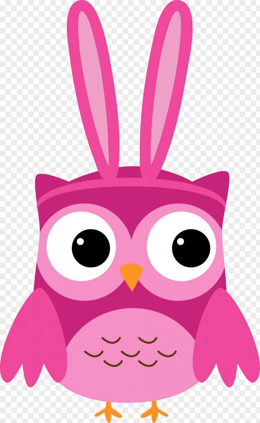 February Baby Owl Clip Art Birthday Image Illustration PNG
