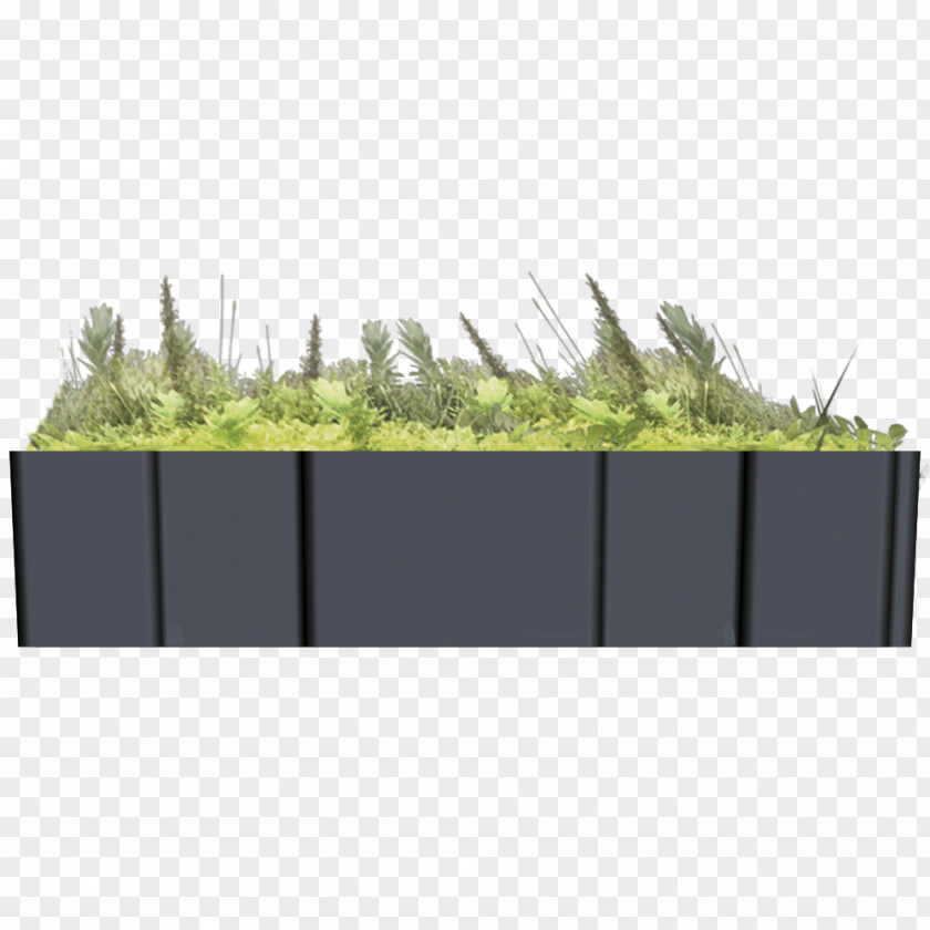 Fence Land Lot Wall Angle Grasses PNG