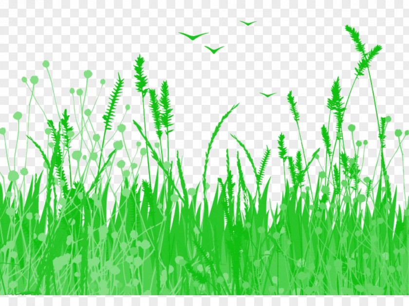 Grass Watercolor Painting Illustration PNG