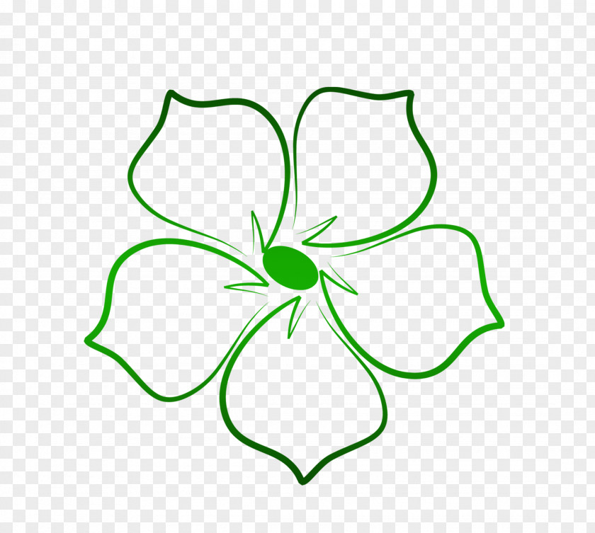 Green Flowers Pen Flower PNG